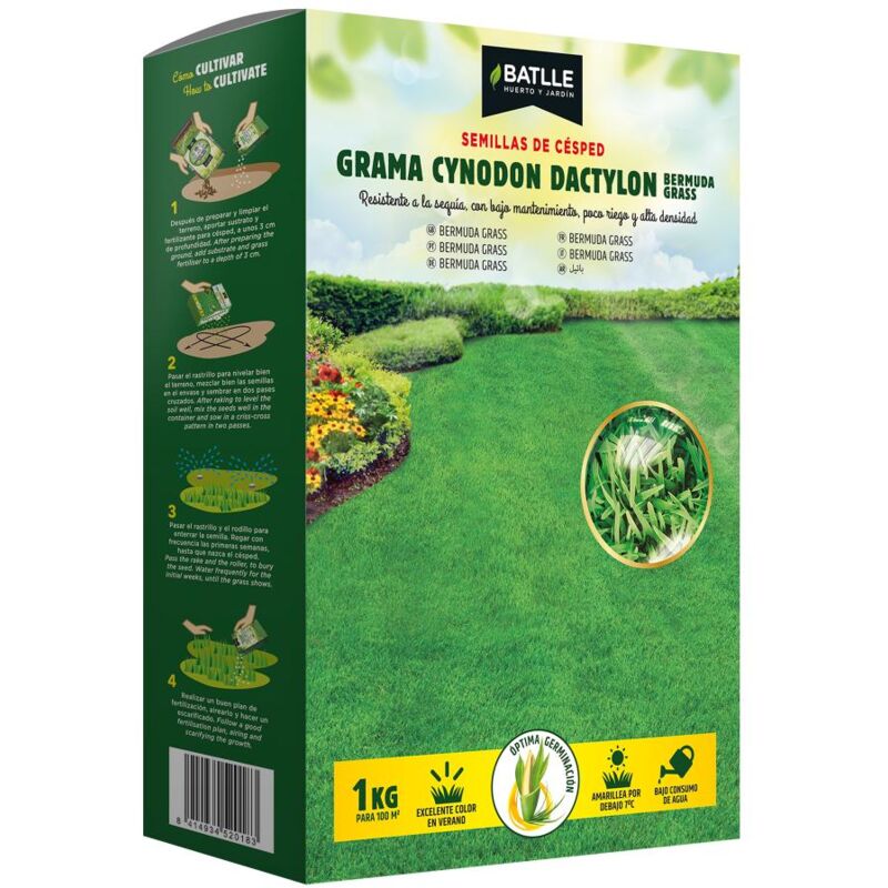 

Semillas de césped Grama Cynodon Dactilon 1 kg