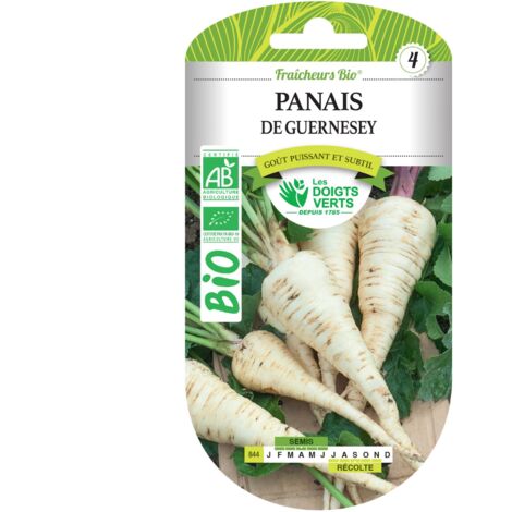 Semillas de chirivía de Guernsey BIO Los Dedos Verdes