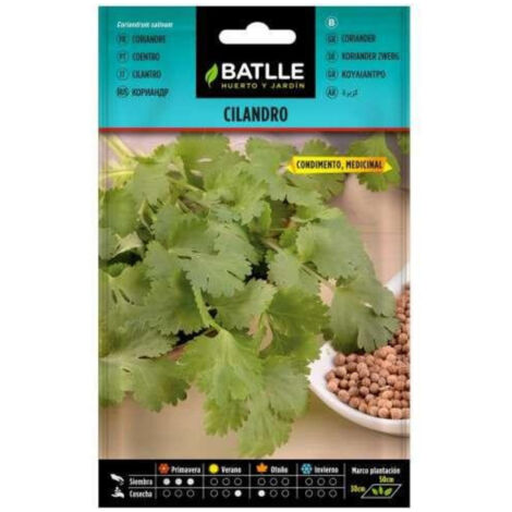 Semillas de Cilantro Cilandro Batlle