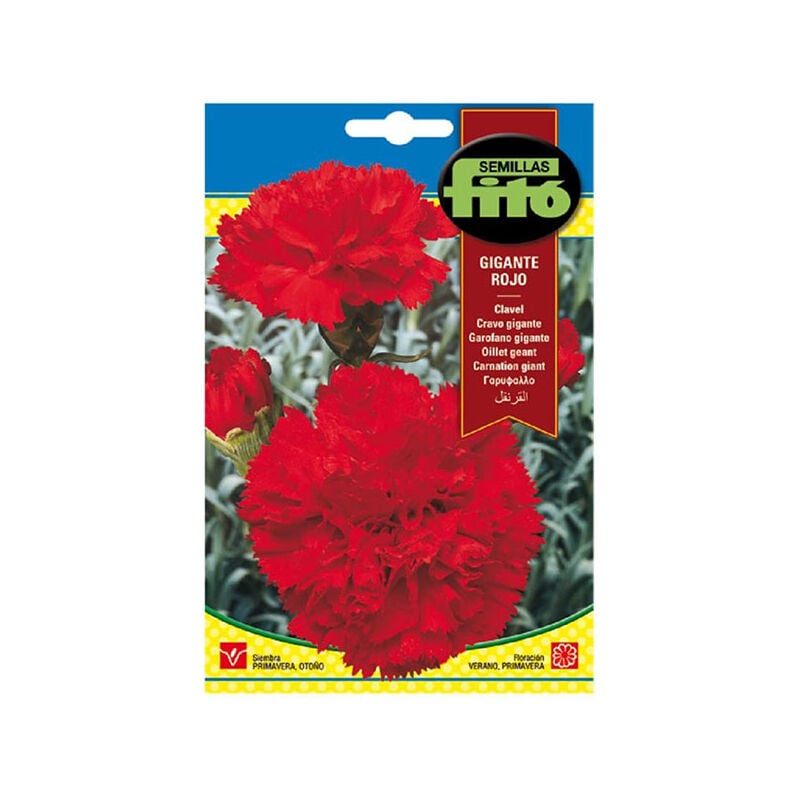 

Plantawa Semillas de Clavel Carnation Gigante Rojo para Siembra Primavera Otoño ciclo anual Flor para Cultivar - Fitó