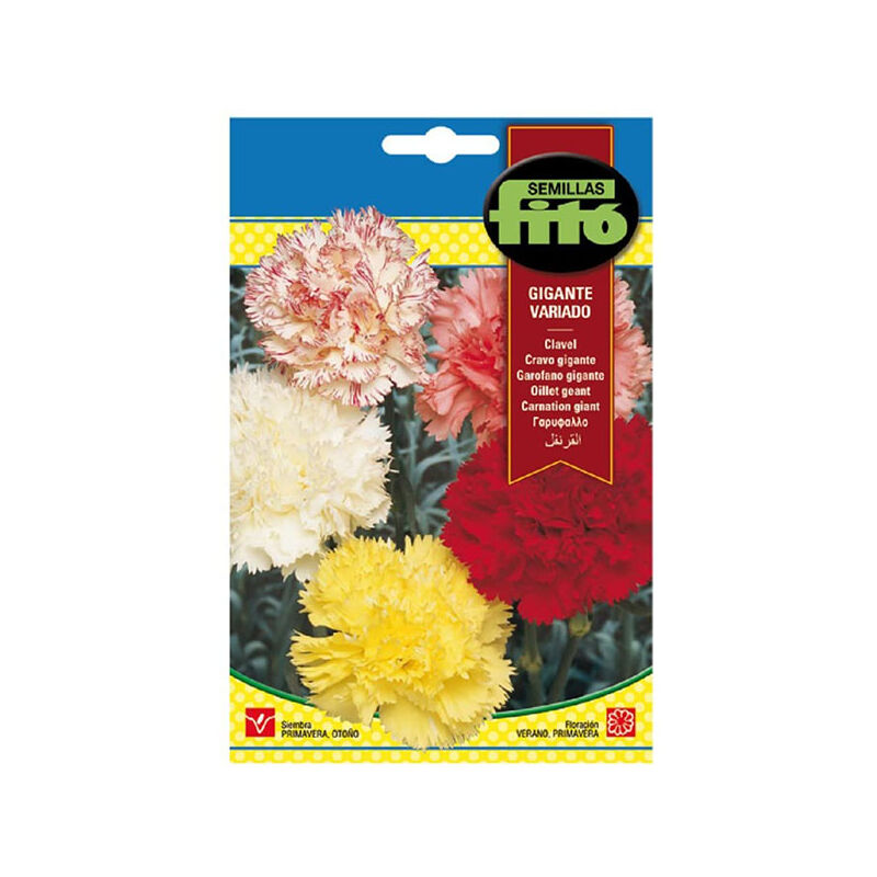 

Plantawa Semillas de Clavel Carnation Gigante Variado para Siembra Primavera Otoño ciclo anual Flor para Cultivar - Fitó