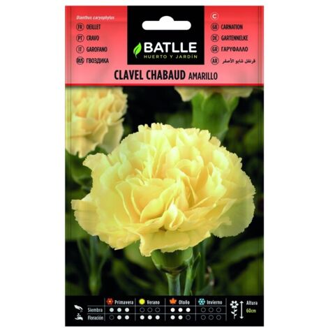 Semillas de Clavel Chabaud Amarillo sobre