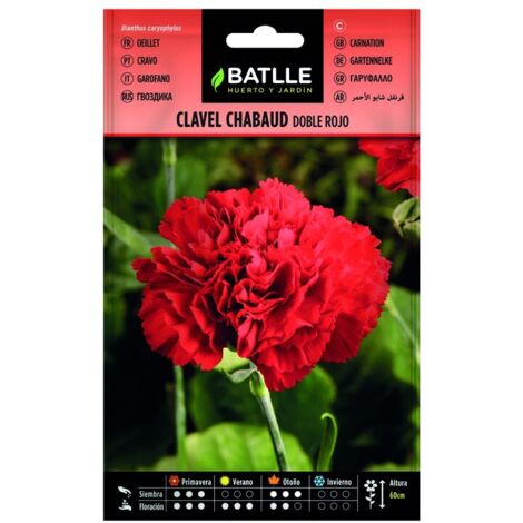 Semillas de Clavel Chabaud Rojo sobre