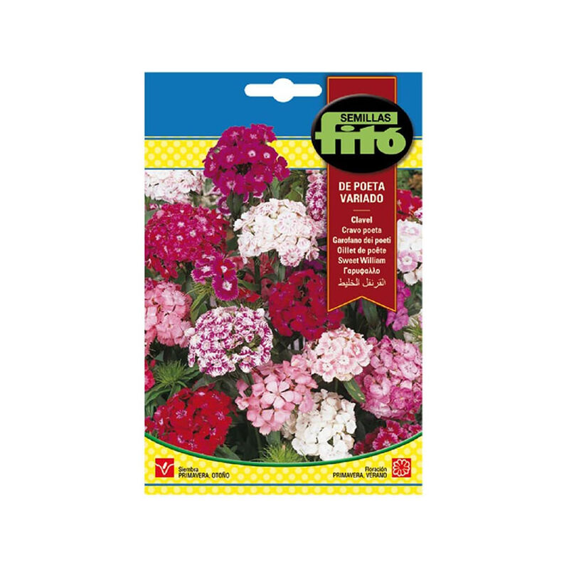 

Plantawa Semillas de Clavel Sweet William 4 gr para Siembra Primavera Otoño ciclo bianual Flor para Cultivar - Fitó