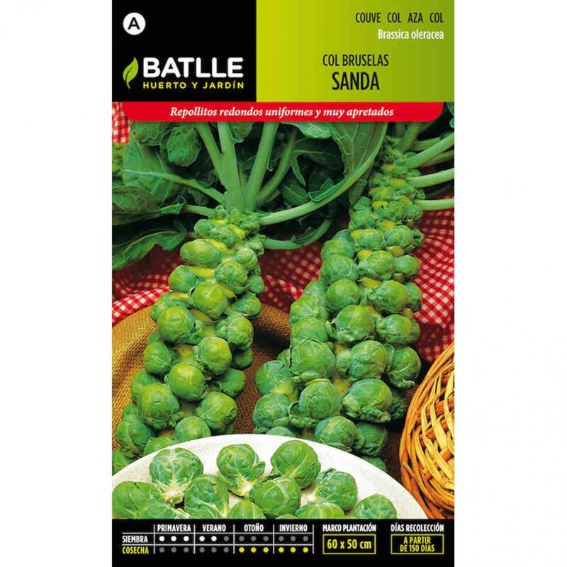 

Plantawa Semillas de Col de Bruselas Sanda 4 gr para Siembra Primavera Verano Hortaliza para Cultivar - Battle
