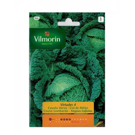 Semillas de COL DE MILÁN VIRTUDES 4 Vilmorin 6g