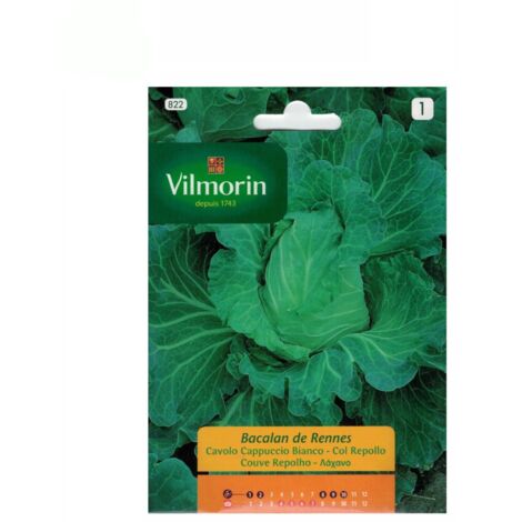 Semillas de COL REPOLLO BACALAN DE RENNES Vilmorin 6g