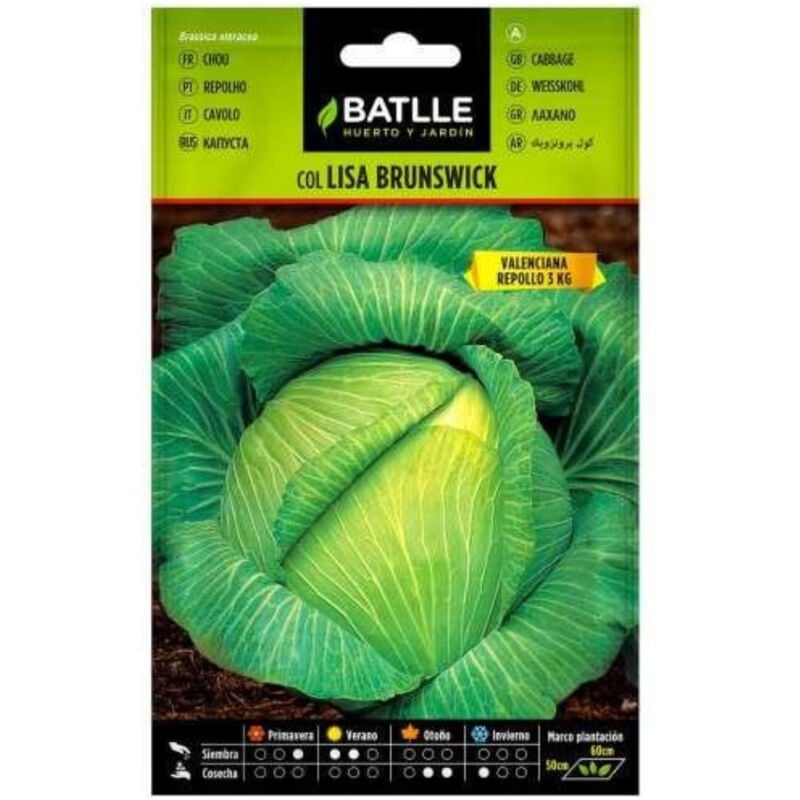 

Semillas de Col repollo Brunswick (Valenciana)