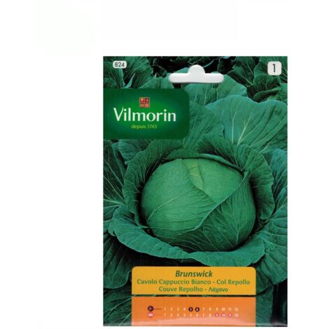 Semillas de COL REPOLLO BRUNSWICK Vilmorin 6g