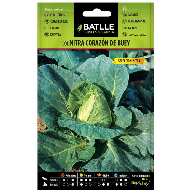 

Semillas de Col repollo Corazón de buey sel. Mitra