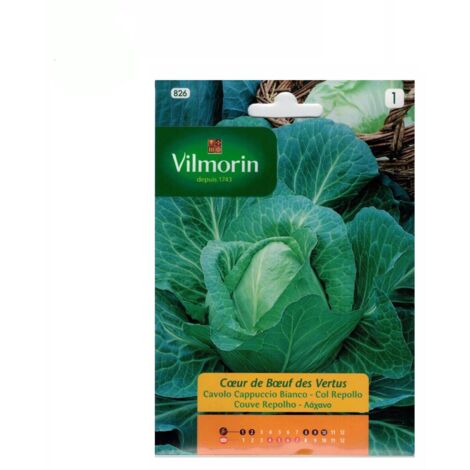 Semillas de COL REPOLLO CORAZÓN DE BUEY Vilmorin 6g