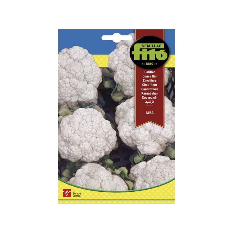 

Plantawa Semillas de Coliflor Alba 4 gr para Siembra en Verano Hortaliza para Cultivar - Fitó