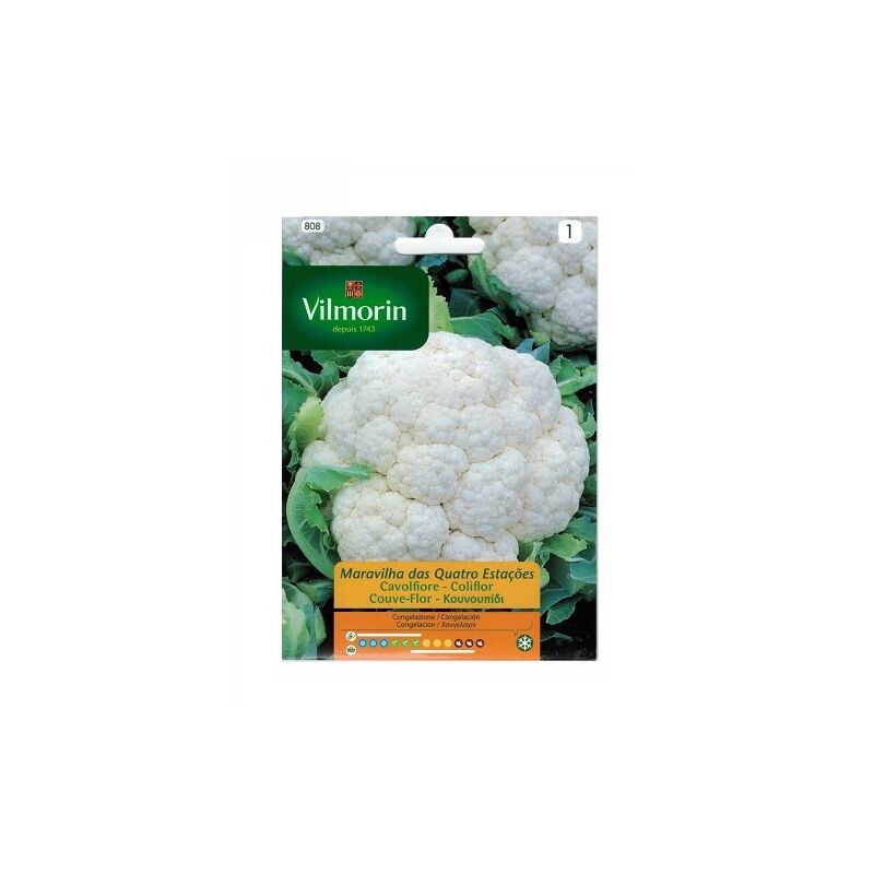 

Semillas de COLIFLOR CUATRO ESTACIONES 2g - Vilmorin