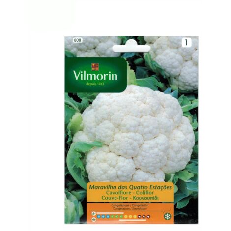 Semillas de COLIFLOR CUATRO ESTACIONES Vilmorin 2g