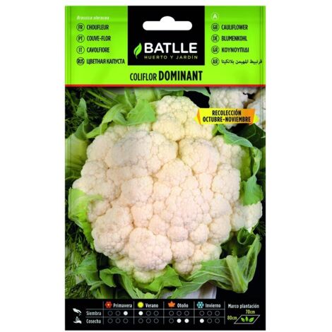 Semillas de Coliflor Dominant Blanquita sobre