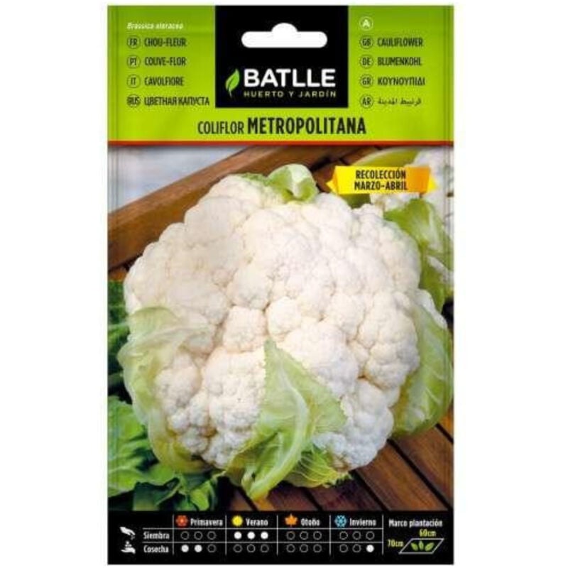 

Semillas de Coliflor Metropolitana