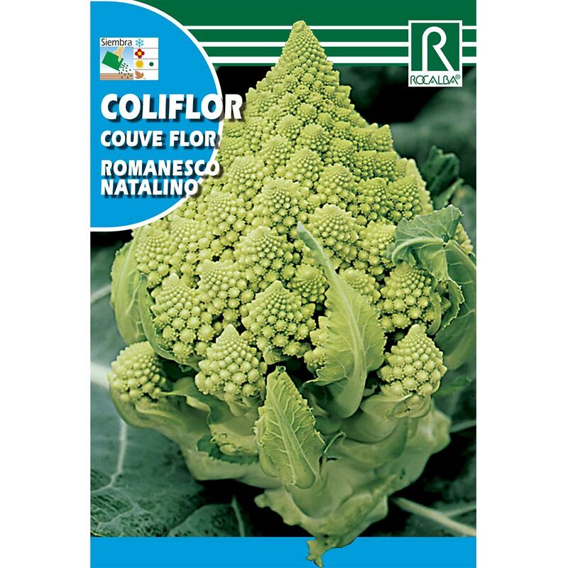 

Semillas de Coliflor romanesco natalino