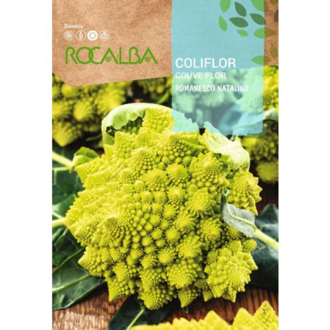 Semillas de coliflor
