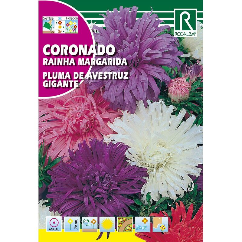

Semillas de Coronado pluma de avestruz gigante, variado