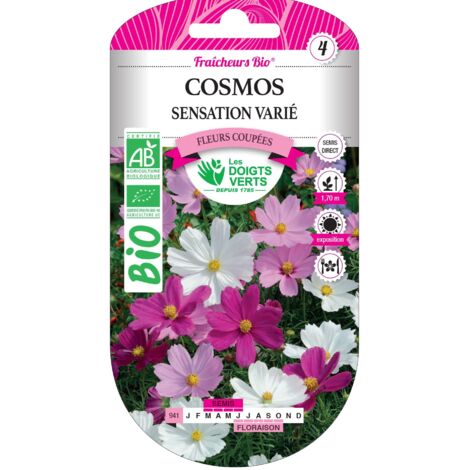 Semillas de cosmos sensación variada BIO Los Dedos Verdes