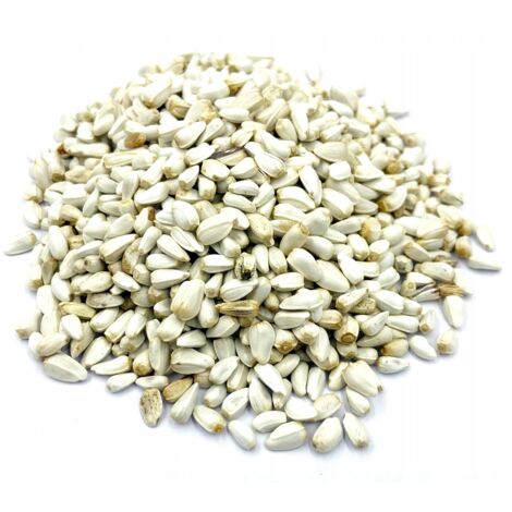 SEMILLAS DE C脕RTAMO 1 KG 100% NATURALES