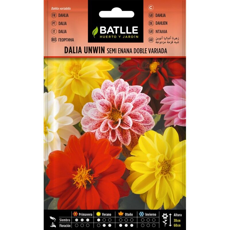 

Semillas de Dalia Unwin semi enana doble variada