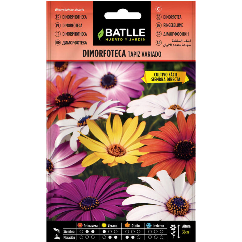 

Semillas de Dimorfoteca Tapiz variado