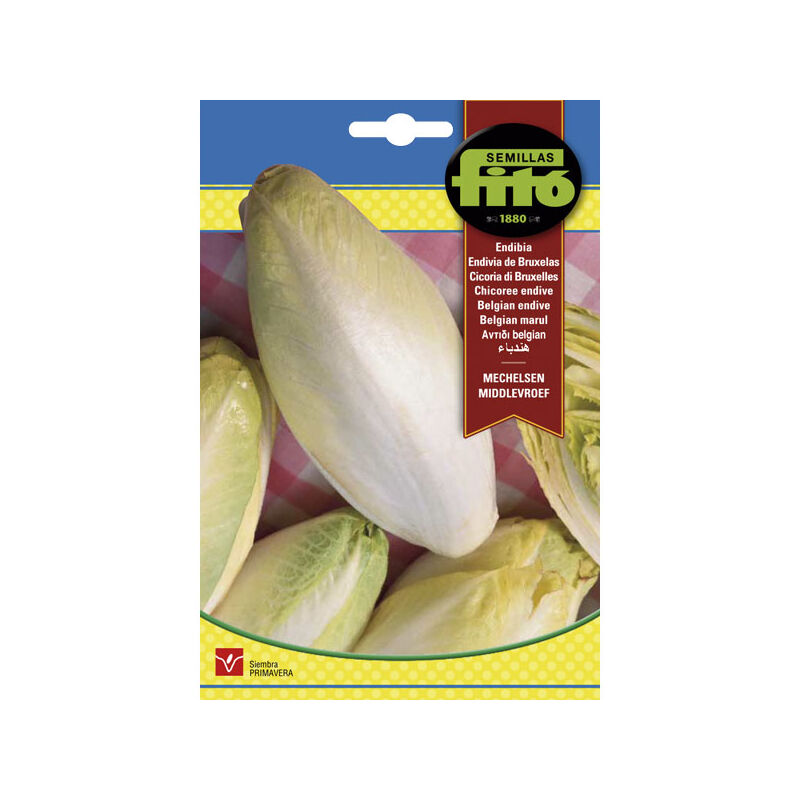 

Plantawa Semillas de Endibia Mechelsen Middlevroef 8 gr para Siembra en Primavera Hortaliza para Cultivar - Fitó