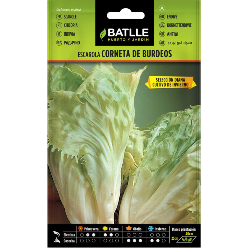 

Semillas de Escarola corneta de Burdeos
