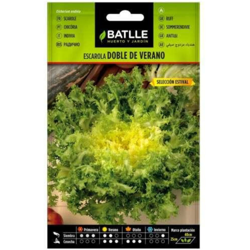 

Semillas de Escarola Doble Verano