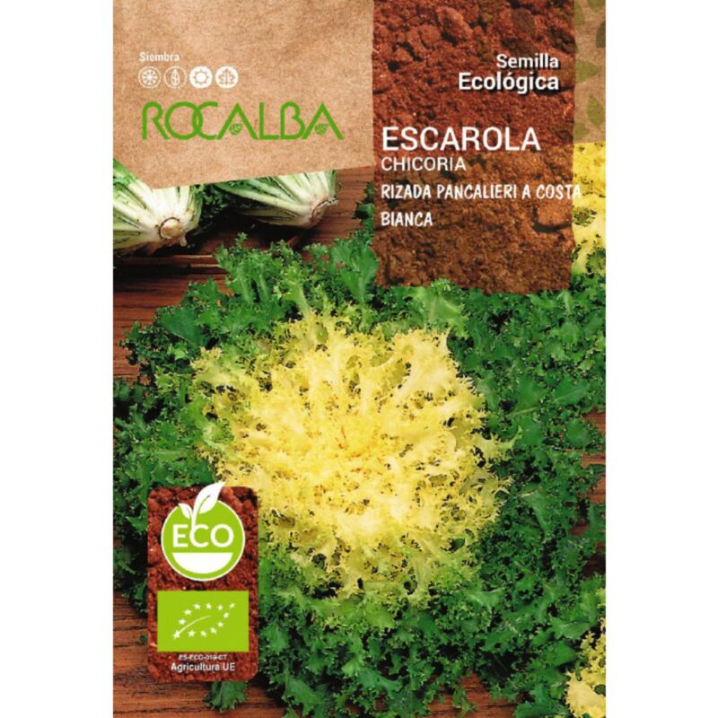 

Semillas ecológicas Escarola rizada pancalieri a Costa Blanca