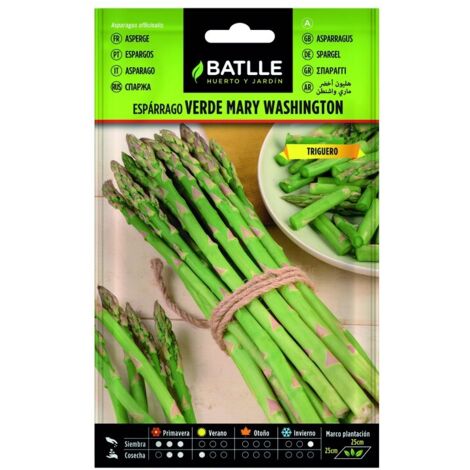 Semillas de Esparrago Verde Mary Washington Batlle Bolsa 5 gr - BAT-013302BOLS