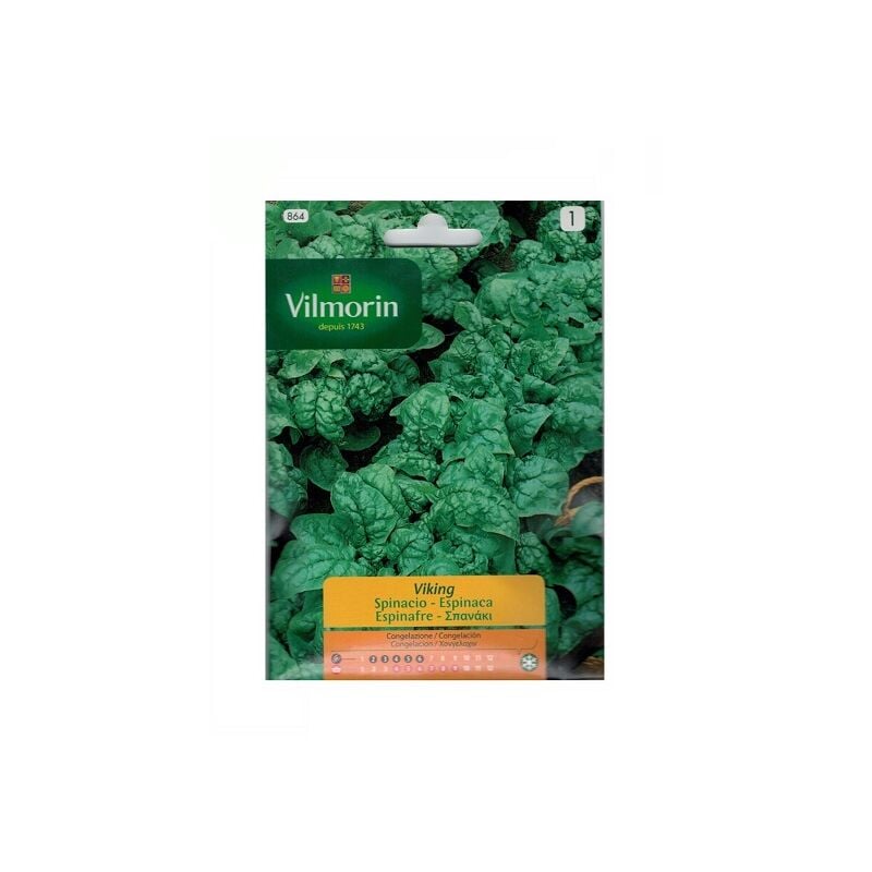 

Semillas de ESPINACAS VIKING 15g - Vilmorin
