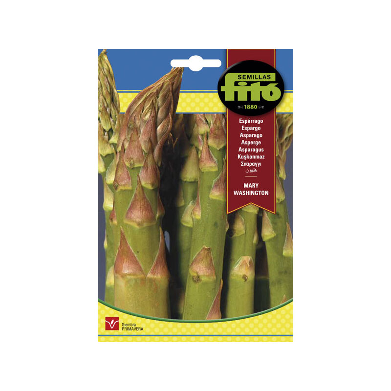 

Plantawa Semillas de Espárrago Mary Washington 8 gr para Siembra en Primavera Hortaliza para Cultivar - Fitó