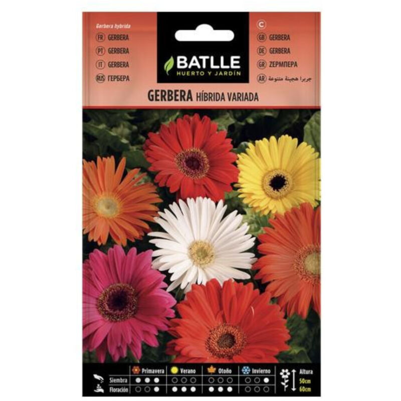 

Semillas de Gerbera