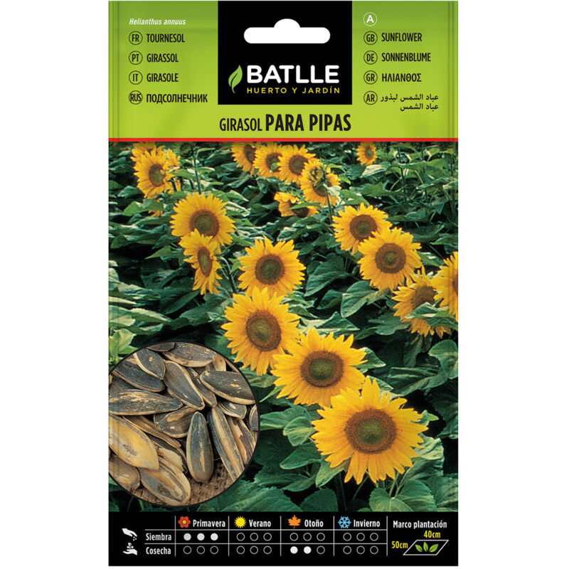 

Semillas de Girasol para pipas