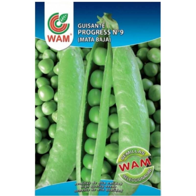

Semillas de Grelos de Santiago Sobre 100 gr - WAM
