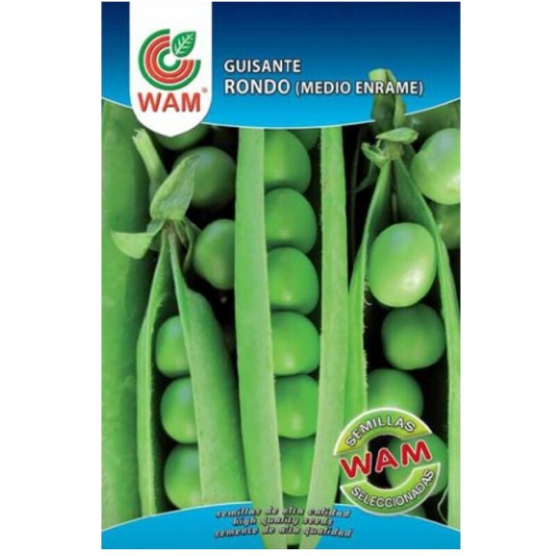 

Semillas de Guisante Rondo de Medio Enrame Sobre 100 gr - WAM