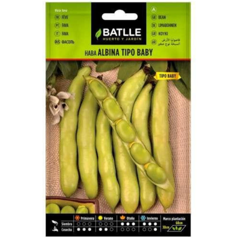 

Semillas de Haba albina BABY 50gr