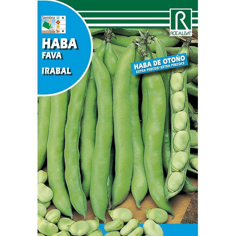 

Semillas de Haba irabal