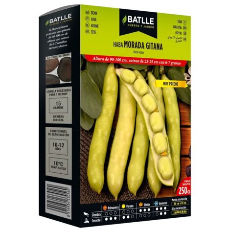 Semillas de Haba Morada Gitana 250 gramos