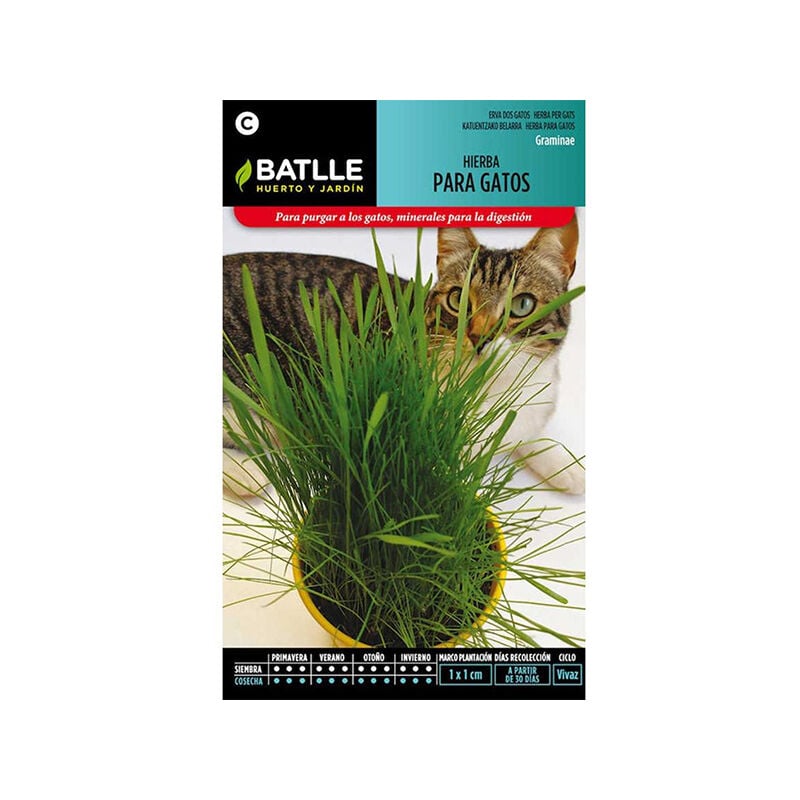 

Plantawa Semillas de Hierba para gatos 15 gr para Siembra Anual Hierba para Cultivar - Battle