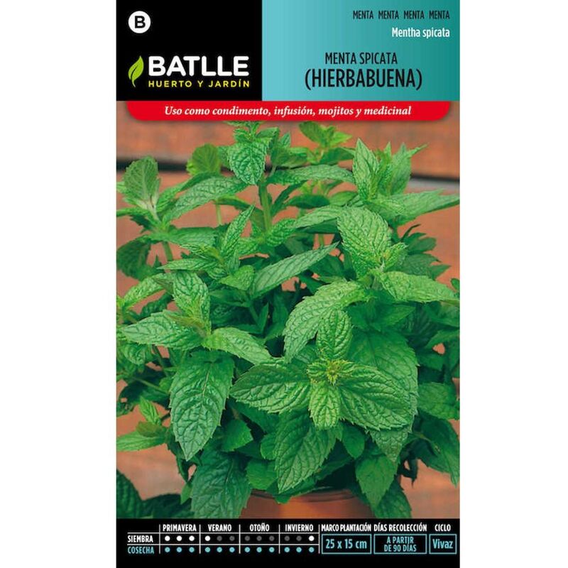 

Plantawa Semillas de Hierbabuena 0.1 gr para Siembra Primavera Planta Aromática para Cultivar - Battle