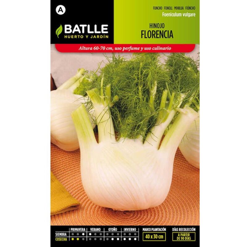 

Plantawa Semillas de Hinojo de Florencia 10 gr para Siembra Primavera Hortaliza para Cultivar - Battle