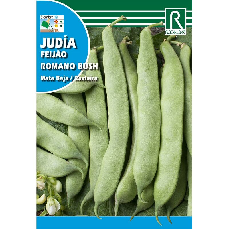 

Semillas de Judía romano bush