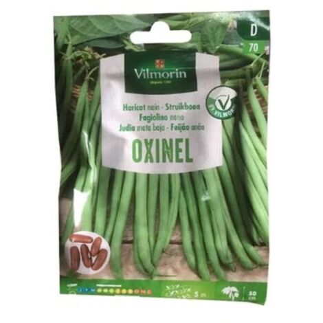 Semillas de JUDIAS OXINEL de mata baja Vilmorin 50g