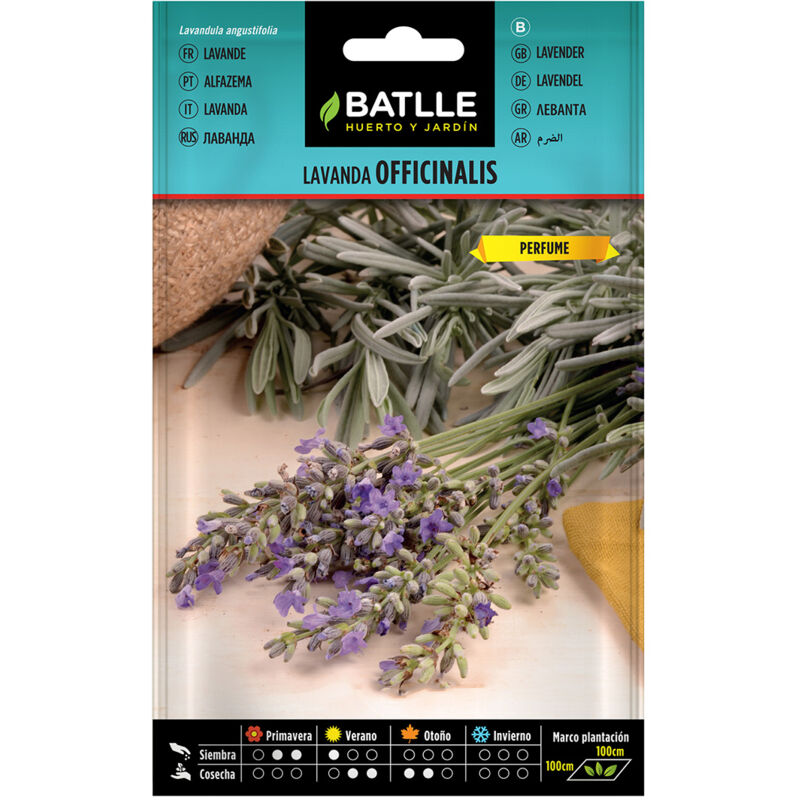 

Semillas de Lavanda Officinalis