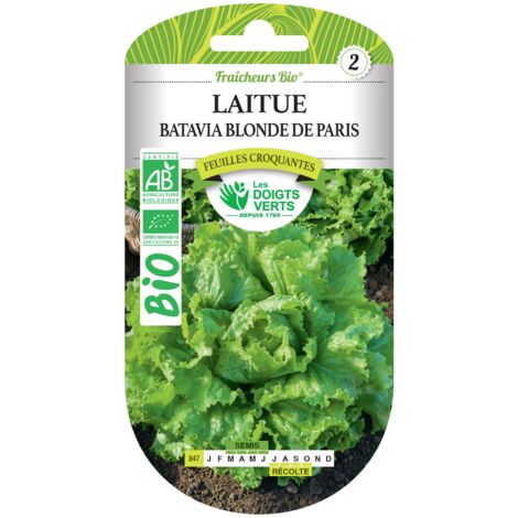 Semillas de lechuga batavia rubia de París BIO Los Dedos Verdes