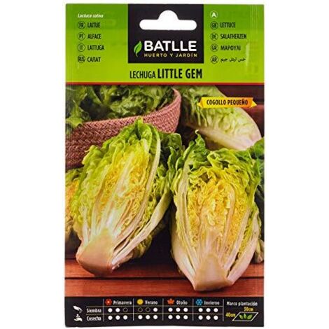 Semillas de Lechuga Cogollo Pequeño Batlle Bolsa 7 gr - BAT-013730BOLS