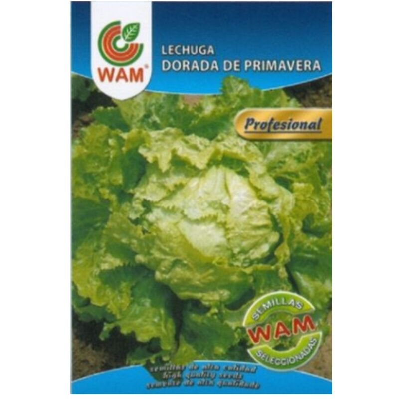 

Semillas de Lechuga Dorada de Primavera Sobre con 6 gr - WAM